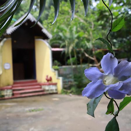 Phoenix Castle House Palolem Canacona Exteriör bild